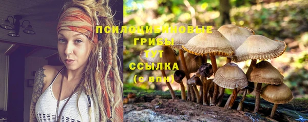 дмт Балахна