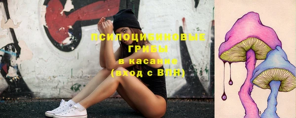 прущие крисы Баксан
