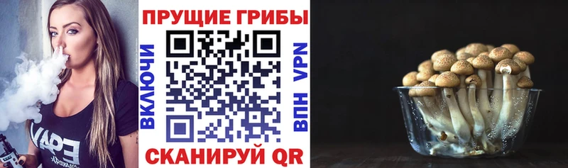 Псилоцибиновые грибы мицелий  Новозыбков 